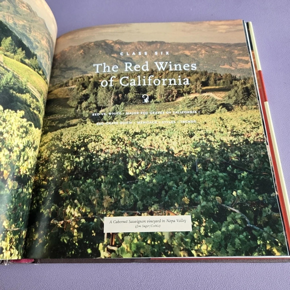 Kevin Zraly Windows on the World Complete Wine Expanded 20th Anniversary Edition - Picture 7 of 14